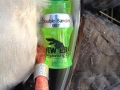 2013 Waterfowl Season