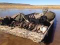 2013 Waterfowl Season